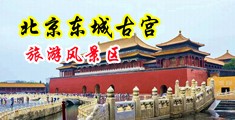 嫩穴视频中国北京-东城古宫旅游风景区