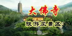 操逼视频网站无限观看中国浙江-新昌大佛寺旅游风景区